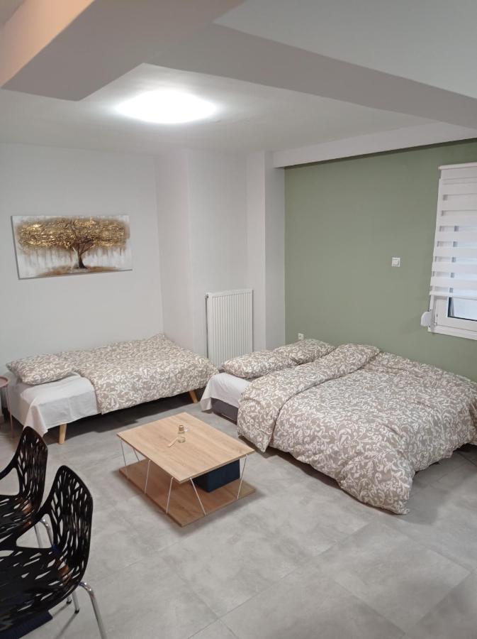 Central Home Trikala  Ngoại thất bức ảnh