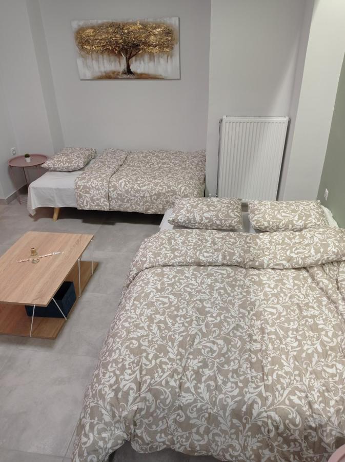 Central Home Trikala  Ngoại thất bức ảnh